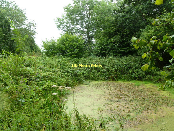 Photo 6"x4" Hilton, dewpond Hilton\/ST7803 c2011