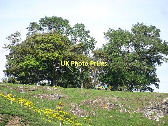 Photo 6"x4" Top of Balgone Heughs Kingston\/NT5482 c2011