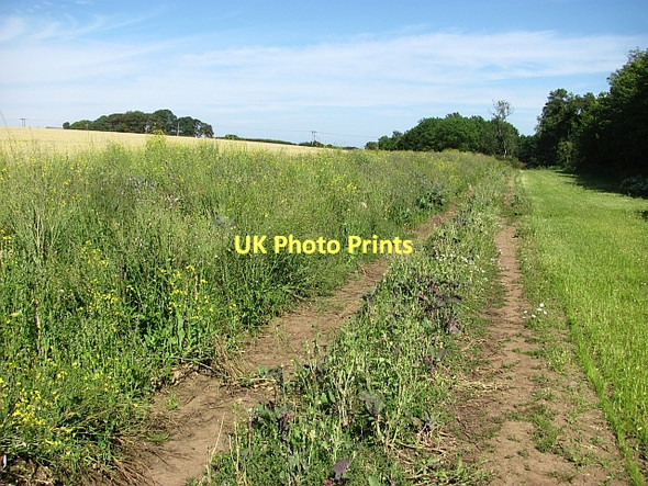 Photo 6"x4" Farm track, Balgone Kingston\/NT5482 c2011