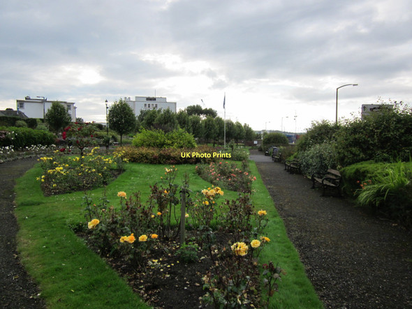 Photo 6"x4" Rose Garden Stranraer c2011