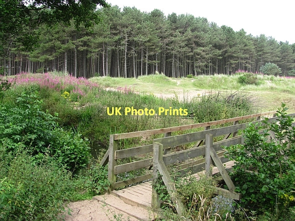 Photo 6"x4" Footbridge, Kinshaldy Tentsmuir Sands c2011