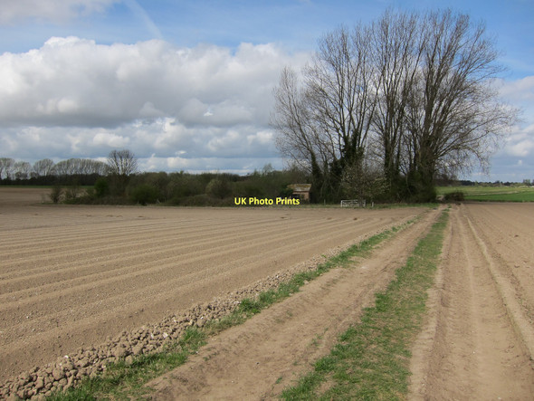 Photo 6"x4" Mitchel Head Tuddenham\/TL7371 c2011