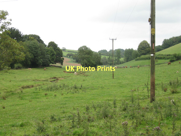 Photo 6"x4" River Wash valley below Lower Washbourne  Tuckenhay c2011