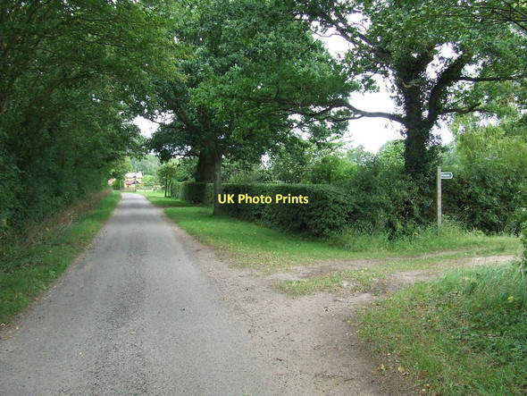 Photo 6"x4" Footpath And Country Road Allwood Green c2011