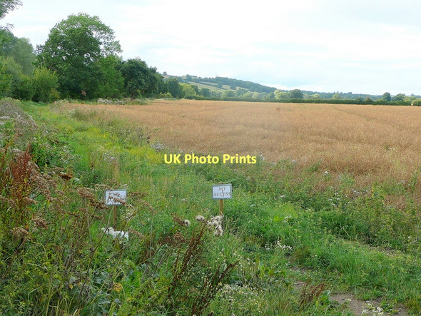 Photo 6"x4" Severn floodplain Longridge End c2011