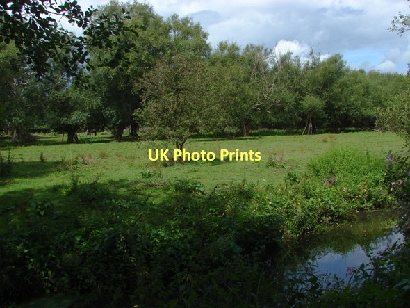 Photo 6"x4" The Hoe Valley Woking c2011