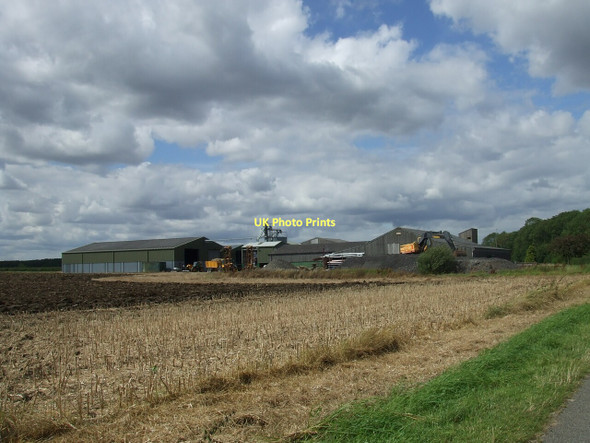 Photo 6"x4" Short Wood Farm Bullington c2011