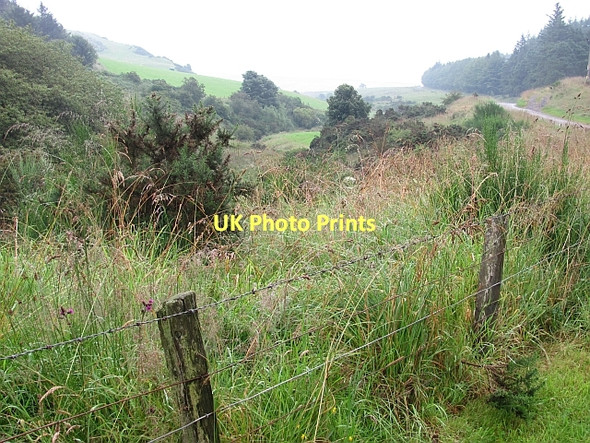 Photo 6"x4" Wideopen Burn West Burnside\/NO7070 c2011