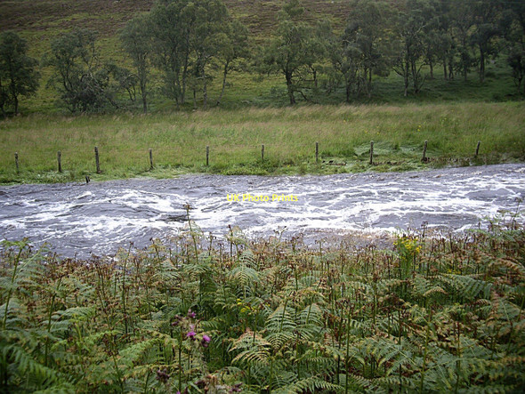 Photo 6"x4" River Deveron in spate Cabrach\/NJ3827 c2011