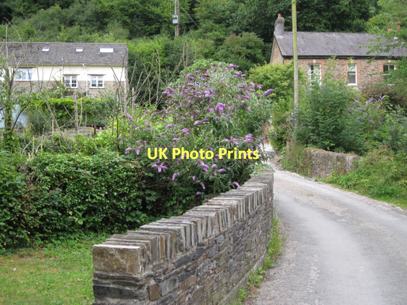 Photo 6"x4" Bridge Terrace  Tuckenhay c2011