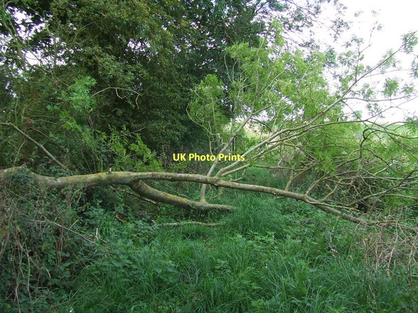 Photo 6"x4" Blocked Footpath Crownland c2011