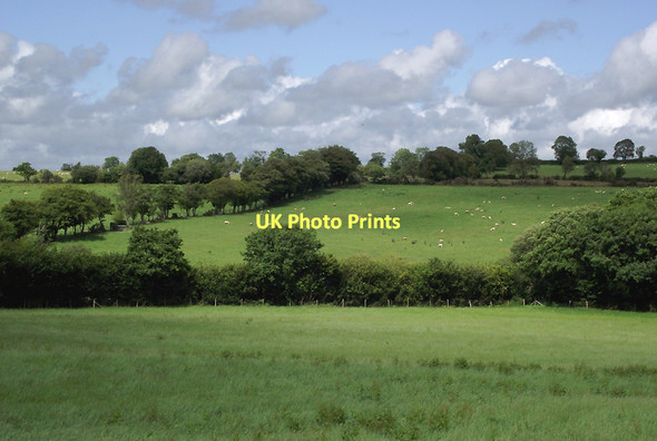 Photo 6"x4" Farmland north-west of Olmarch, Ceredigion Cockshead c2011