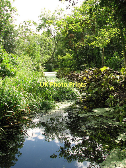 Photo 6"x4" Water channel in Fairhaven Water Garden, South Walsham South Walsham c2011 P1