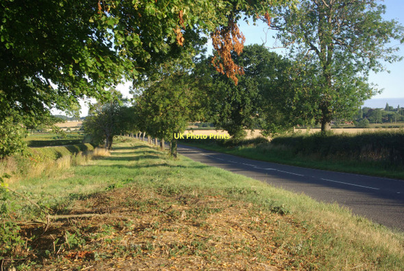 Photo 6"x4" A428 towards Bretford Church Lawford c2011
