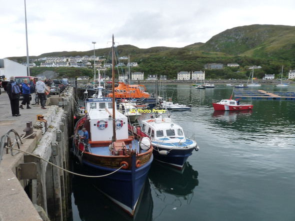 Photo 6"x4" Mallaig harbour Courteachan c2011