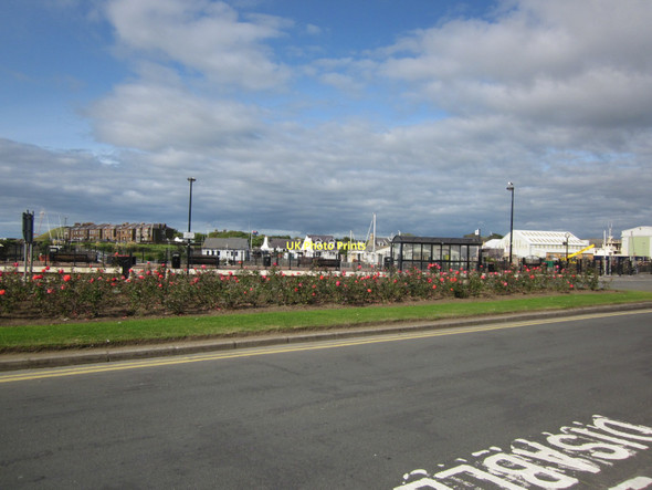 Photo 6"x4" Harbour Rose Garden Girvan c2011