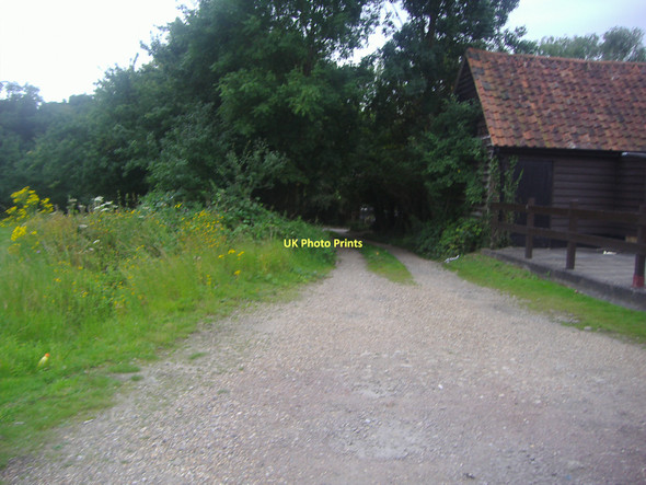 Photo 6"x4" Track off Woodridden Hill Upshire c2011