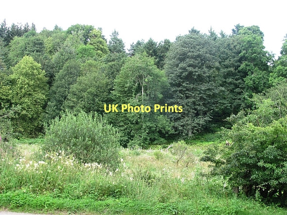 Photo 6"x4" Glen of Dumtochty Auchenblae c2011