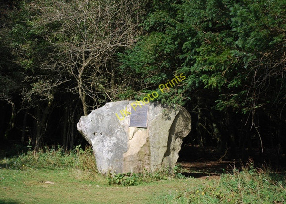 Photo 6"x4" The Tansley Stone, Kingley Vale Stoughton\/SU8011 c2009