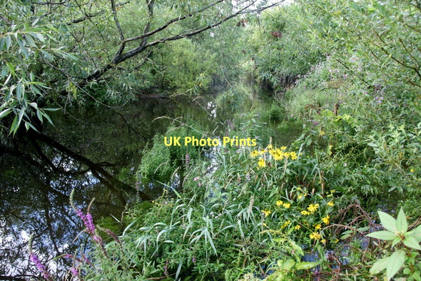 Photo 6"x4" Channel separating St John's Island from the east bank of the Tay, Perth Perth\/NO1123 c2011