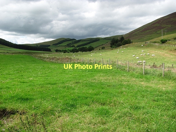 Photo 6"x4" Kilbucho Glen, Mitchelhill Mitchell Hill\/NT0633 c2011