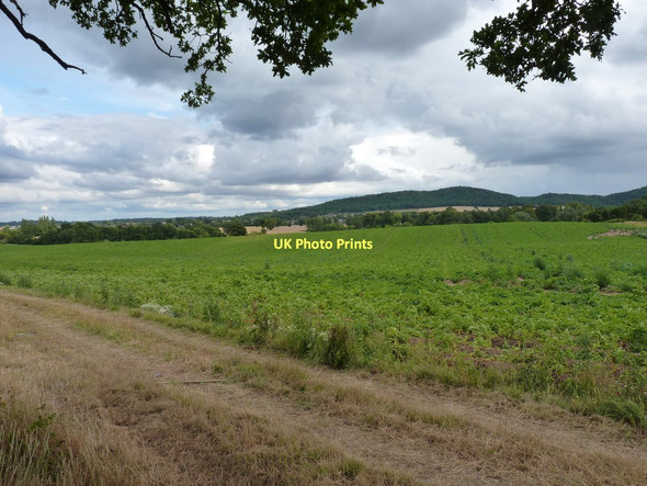Photo 6"x4" Farmland west of Wellington Admaston\/SJ6312 c2011