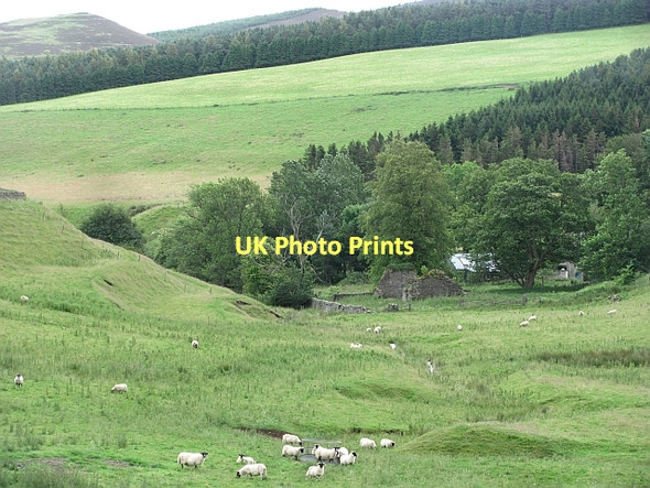Photo 6"x4" Kilbucho Kirk Mitchell Hill\/NT0633 c2011