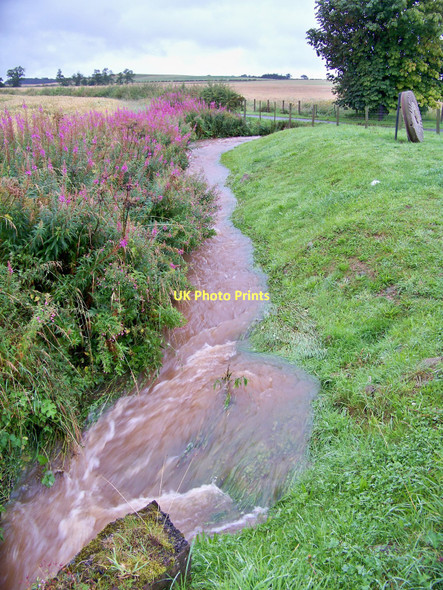 Photo 6"x4" Swollen Burn At Angelrow - South Side Of Track Lambden c2011