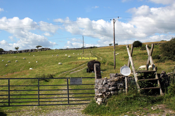 Photo 6"x4" The road to Newbiggin Crags Clawthorpe c2011