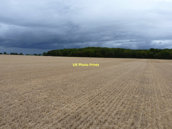 Photo 6"x4" Betton Coppice across a harvested wheatfield Betton Strange c2011