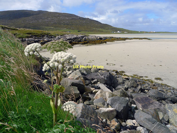 Photo 6"x4" Where the road meets the sands at Luskentyre Seilebost c2011