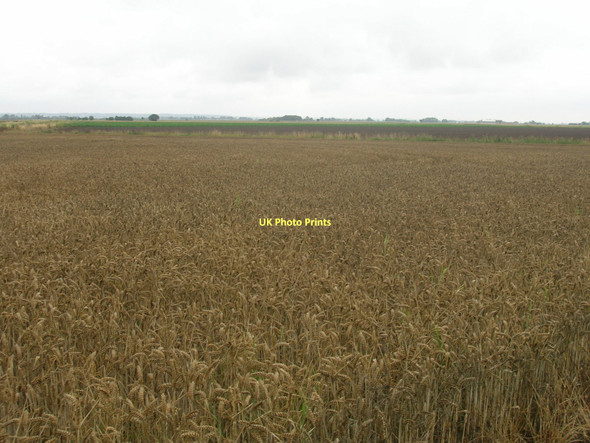 Photo 6"x4" Farmland off the A161 Swinefleet c2011