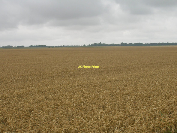 Photo 6"x4" Farmland off New Lane Swinefleet c2011