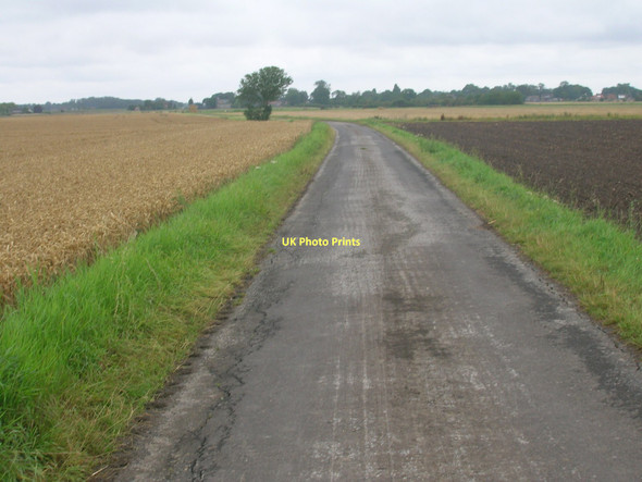 Photo 6"x4" New Lane towards Reedness Swinefleet c2011
