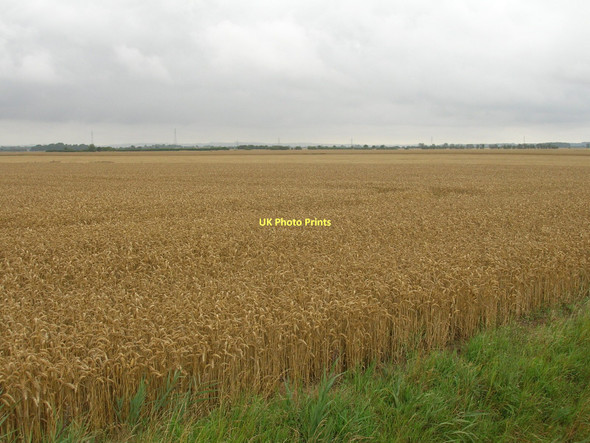 Photo 6"x4" Farmland, Marsh Furlong Little Reedness c2011