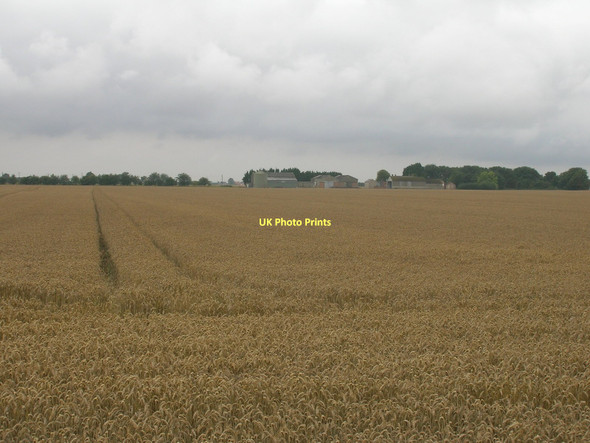 Photo 6"x4" Farmland, Low East Moor Field Little Reedness c2011