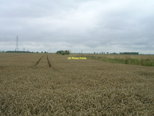Photo 6"x4" Farmland, Ousefleet Ousefleet c2011