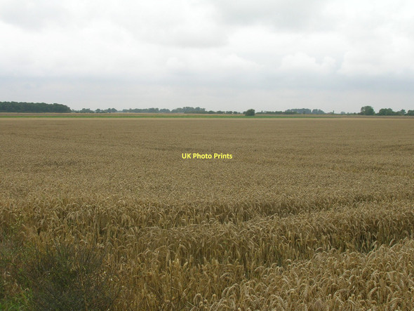 Photo 6"x4" Farmland, Hall Fields Ousefleet c2011