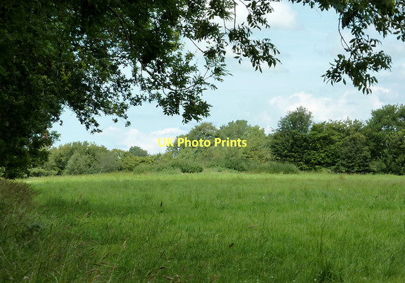 Photo 6"x4" Farmland near Olmarch, Ceredigion Cockshead c2011