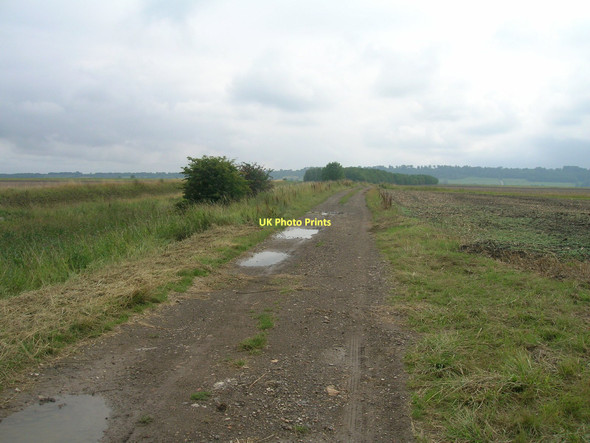 Photo 6"x4" Farm track (bridleway) running east towards the River Trent Adlingfleet c2011