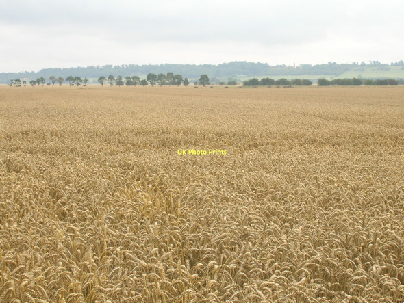Photo 6"x4" Farmland south of Adlingfleet Adlingfleet c2011