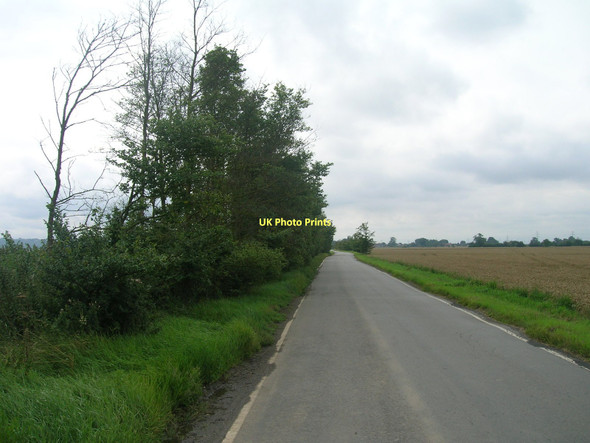 Photo 6"x4" Minor road towards Garthorpe Adlingfleet c2011