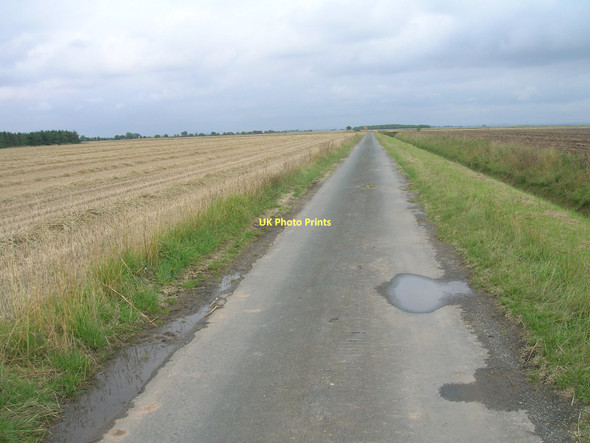Photo 6"x4" Track heading north Adlingfleet c2011