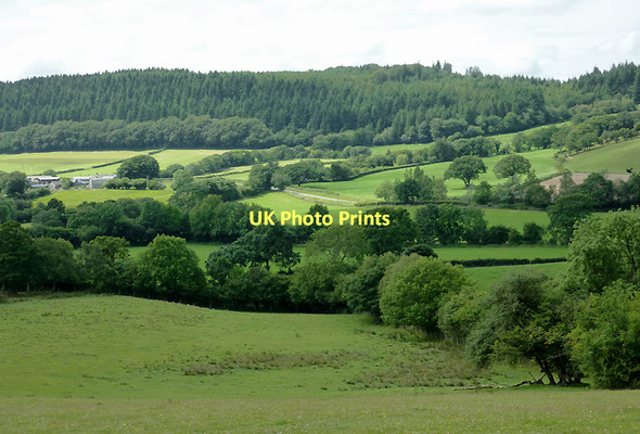 Photo 6"x4" Farmland near Olmarch, Ceredigion Cockshead c2011
