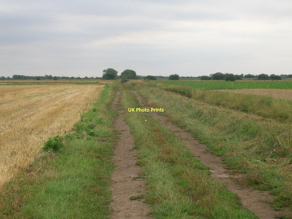 Photo 6"x4" Bridleway running south of Outgate Ealand c2011