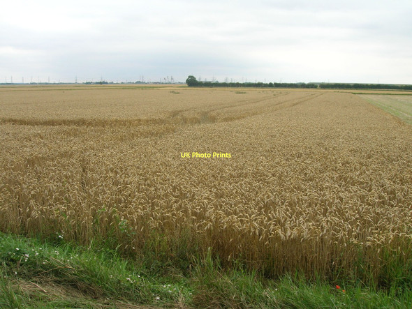 Photo 6"x4" Farmland near Carr House Eastoft c2011