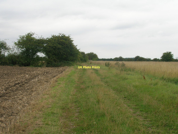 Photo 6"x4" Bridleway towards Adlingfleet Fockerby c2011
