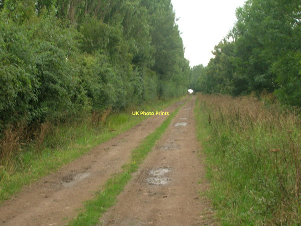 Photo 6"x4" Common Lane (bridleway) Fockerby c2011