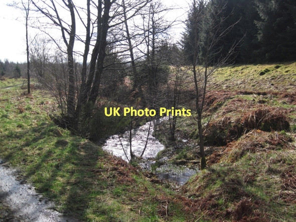 Photo 6"x4" Swineshaw Burn, Pundershaw Stonehaugh c2011