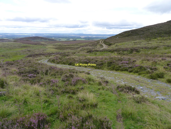 Photo 6"x4" Moorland track Creag na Criche c2011